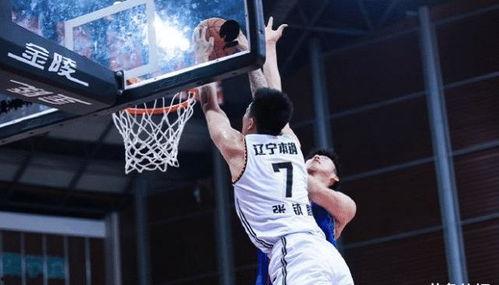 刘大锤爆料篮球视频在线观看,篮球视频盛宴，在线观看精彩纷呈！  第2张