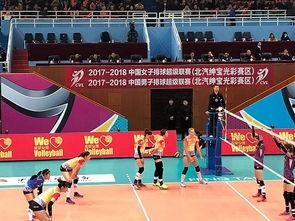 排球大咖爆料视频,独家爆料视频背后的精彩瞬间